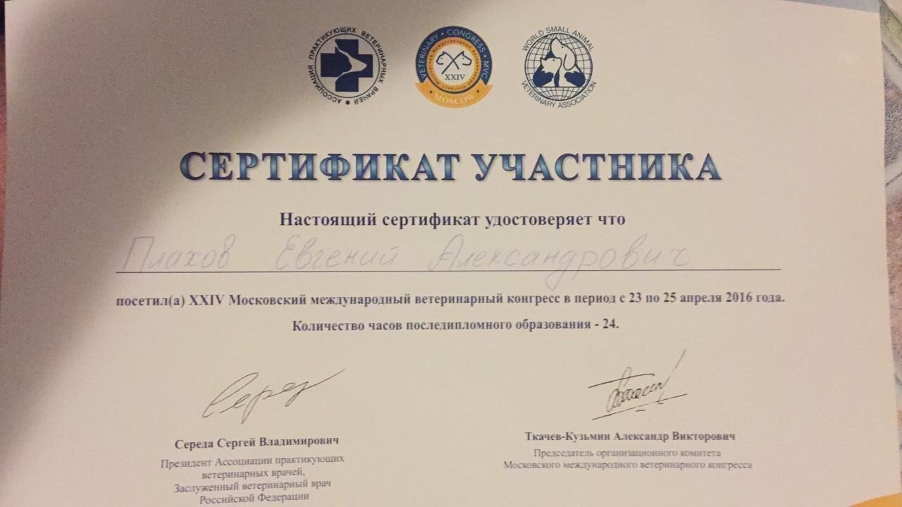 Документ или сертификат