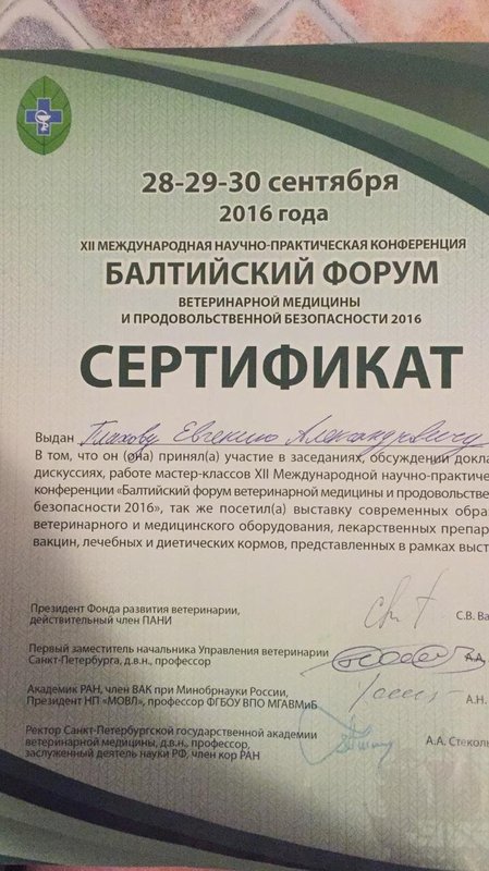 Документ или сертификат