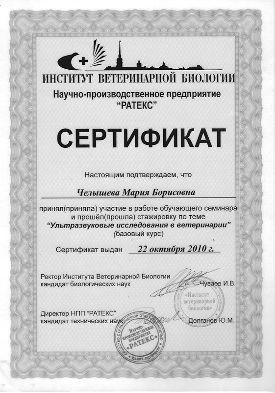 Документ или сертификат