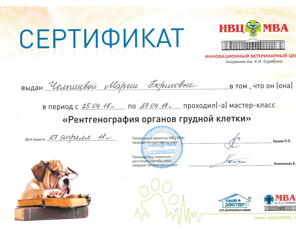 Документ или сертификат