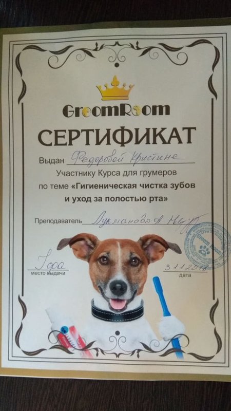 Документ или сертификат