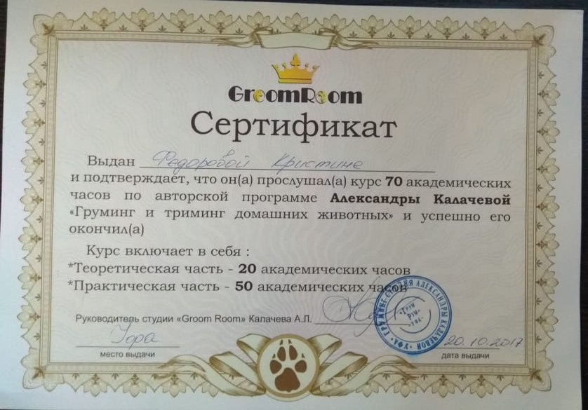 Документ или сертификат