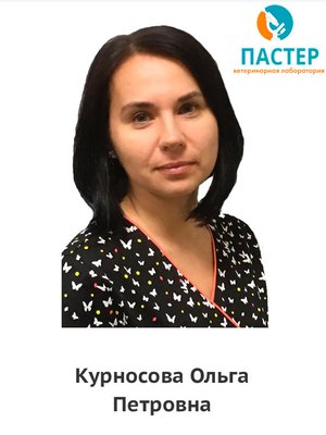Фото врача Курносова Ольга Петровна