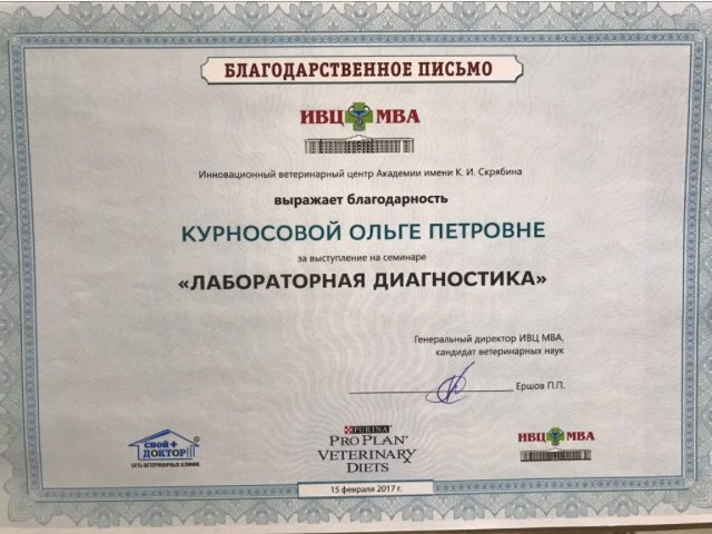 Документ или сертификат
