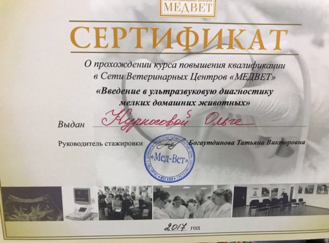 Документ или сертификат