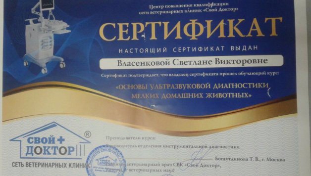 Документ или сертификат