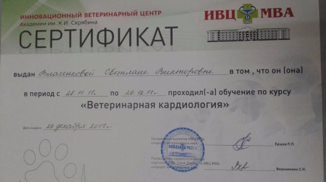 Документ или сертификат