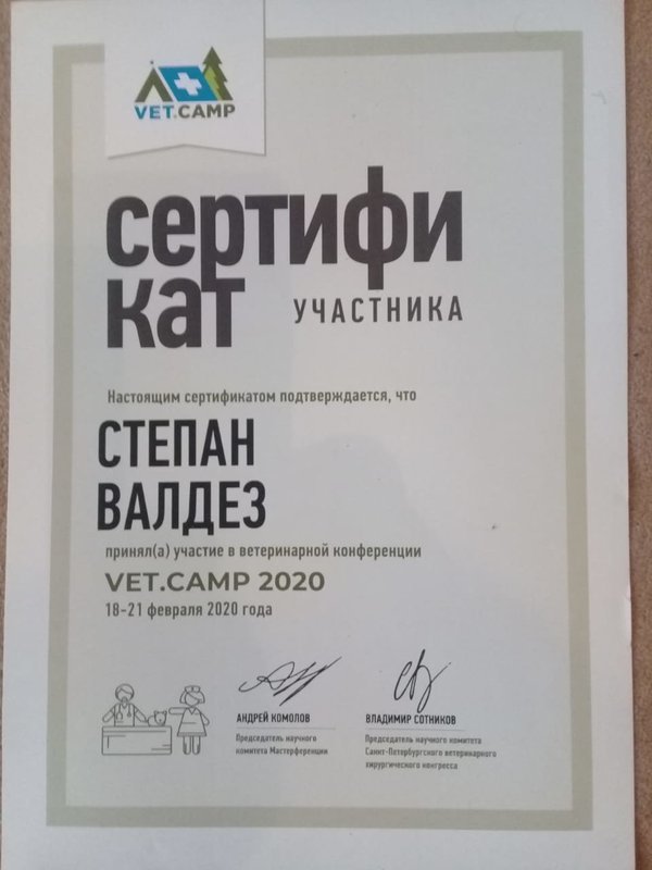 Документ или сертификат
