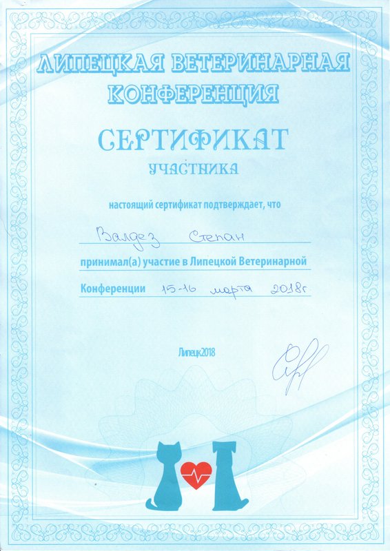 Документ или сертификат