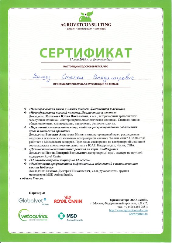 Документ или сертификат