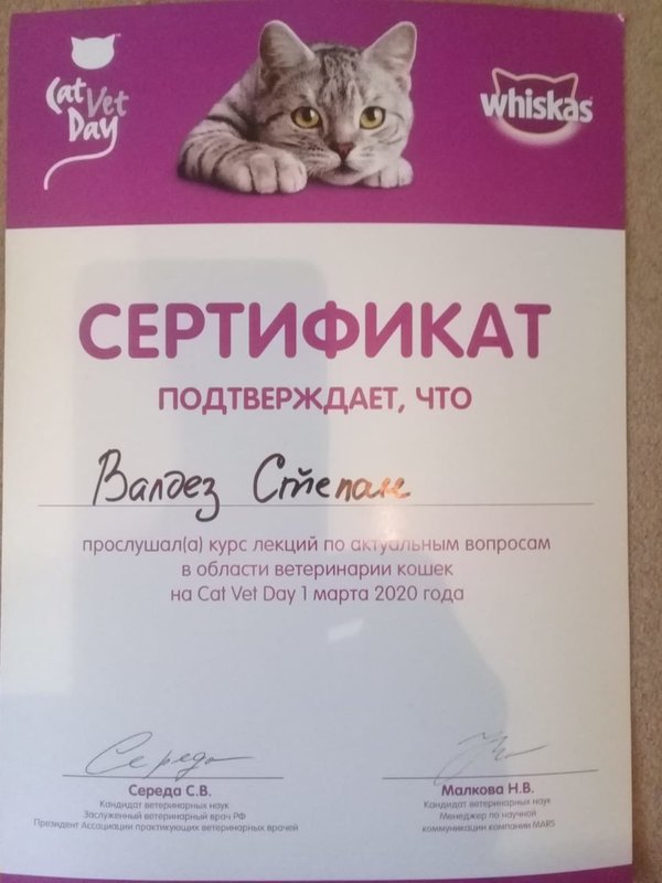 Документ или сертификат