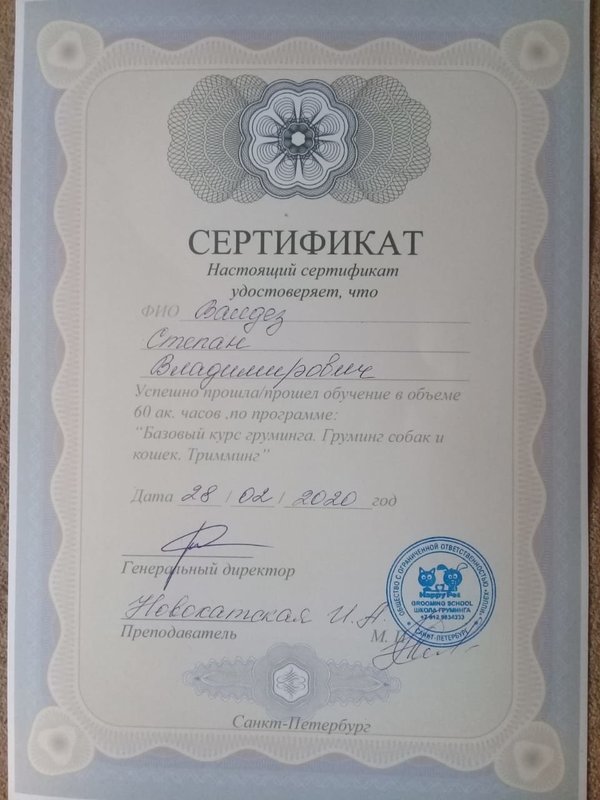 Документ или сертификат