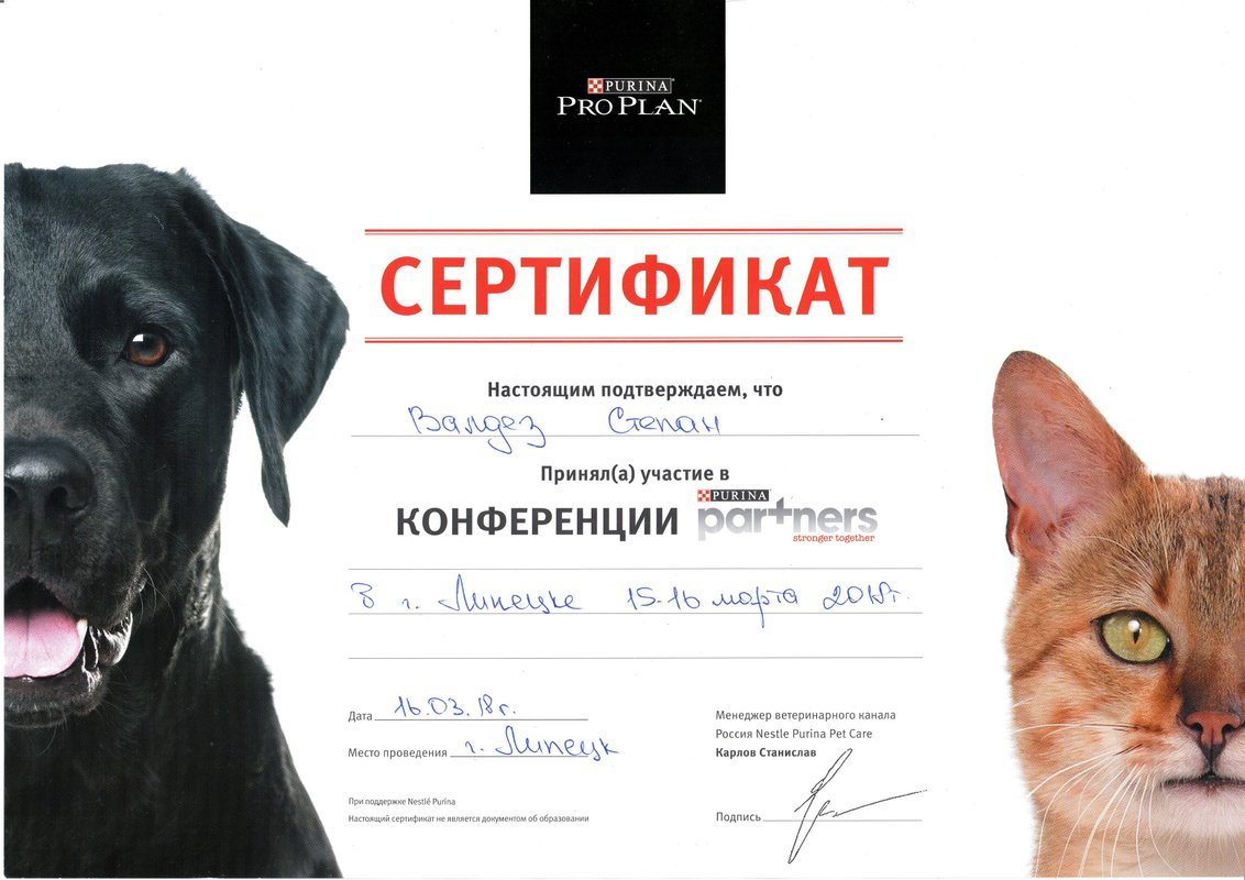 Документ или сертификат