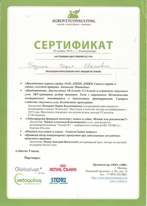 Документ или сертификат