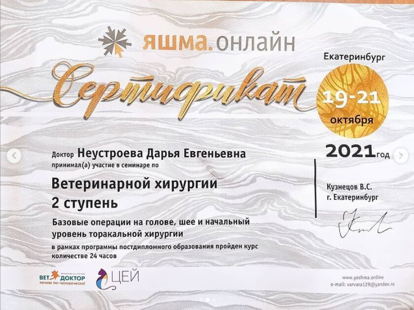 Документ или сертификат
