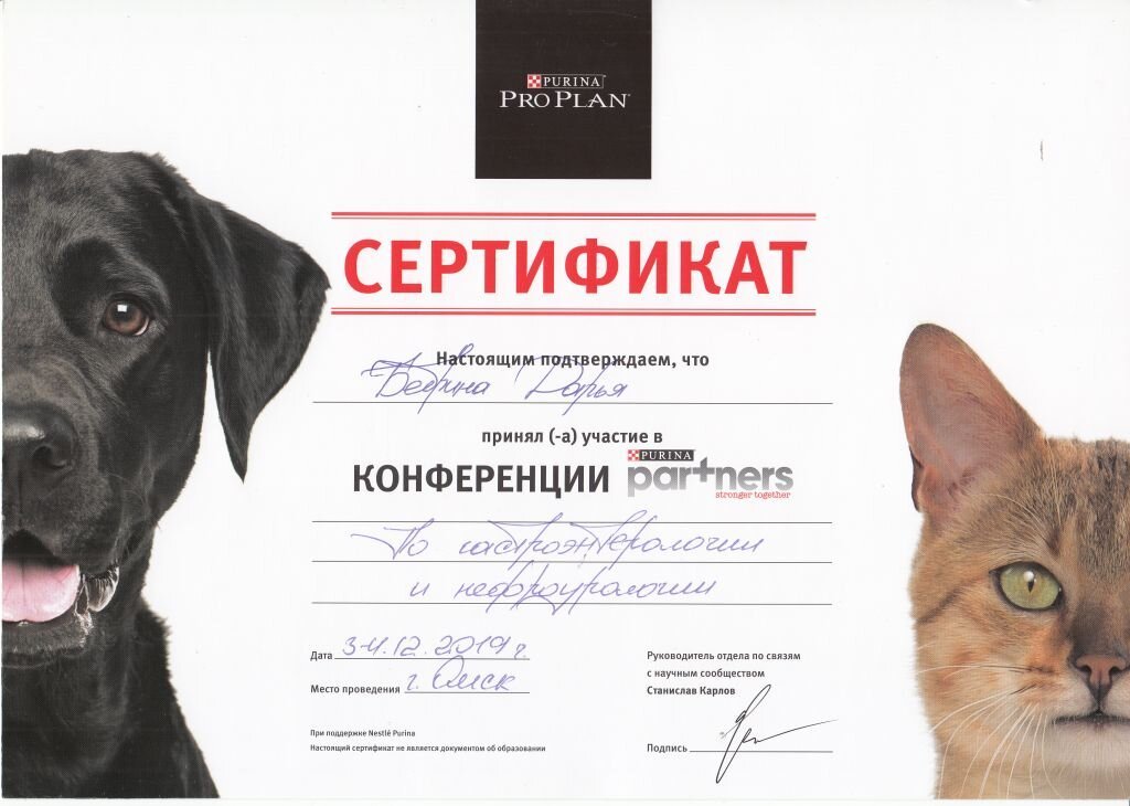 Документ или сертификат