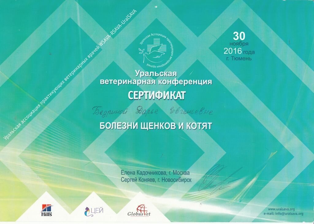 Документ или сертификат