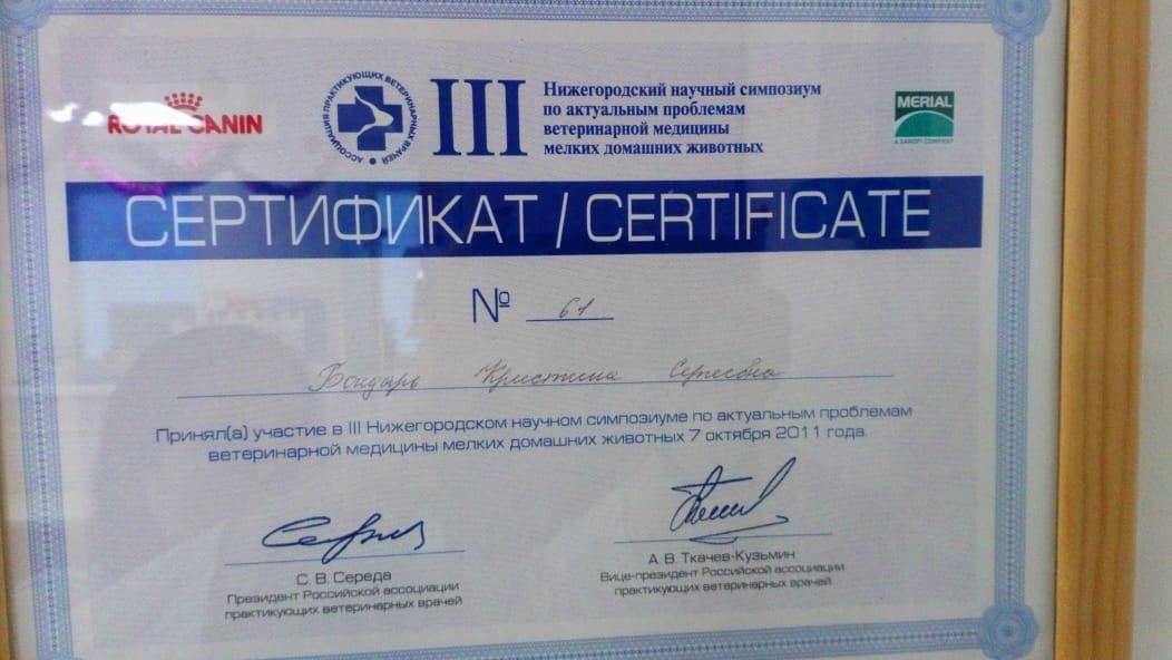 Документ или сертификат