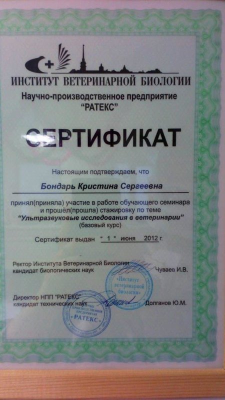 Документ или сертификат