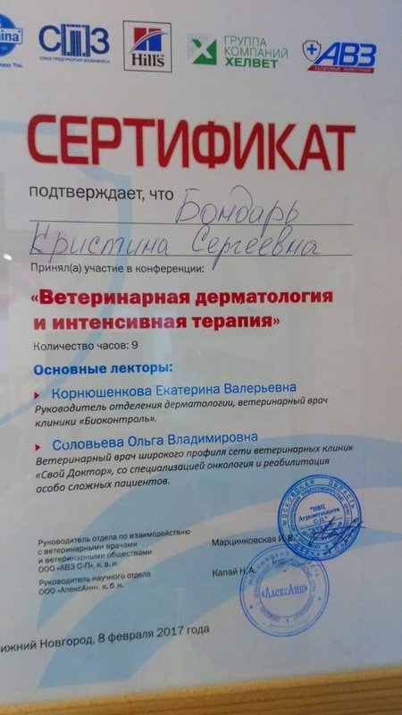 Документ или сертификат