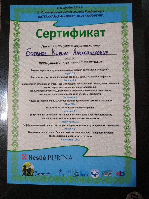 Документ или сертификат