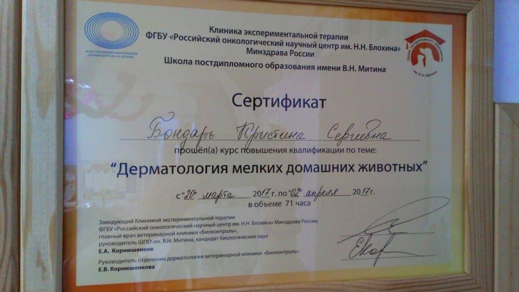Документ или сертификат