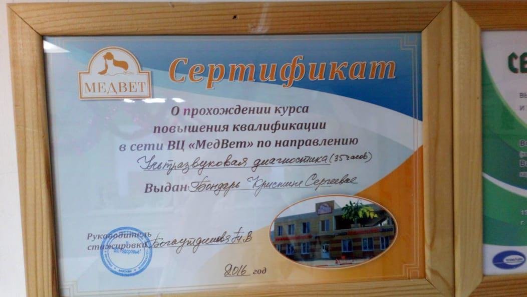 Документ или сертификат