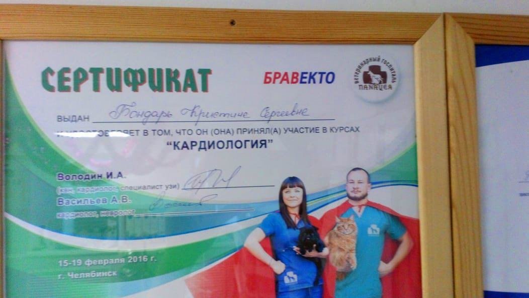 Документ или сертификат