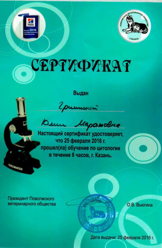 Документ или сертификат