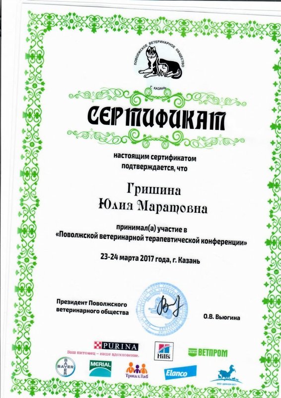 Документ или сертификат