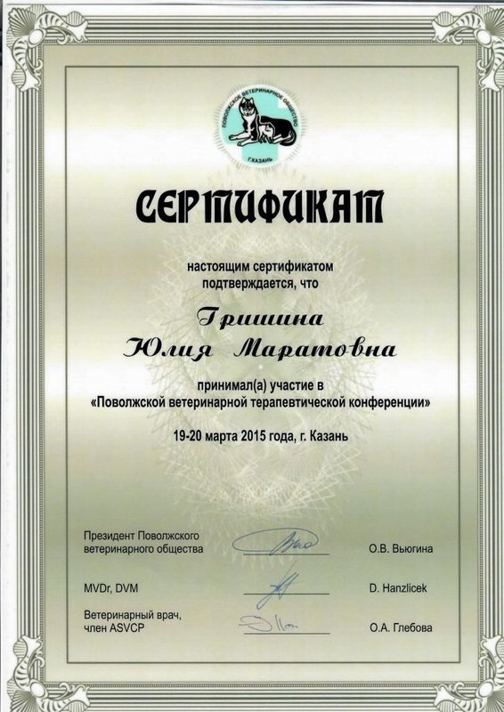 Документ или сертификат