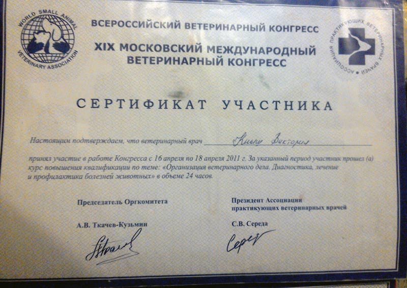Документ или сертификат