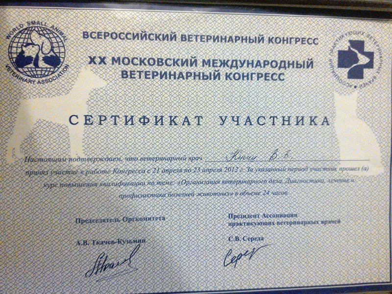 Документ или сертификат