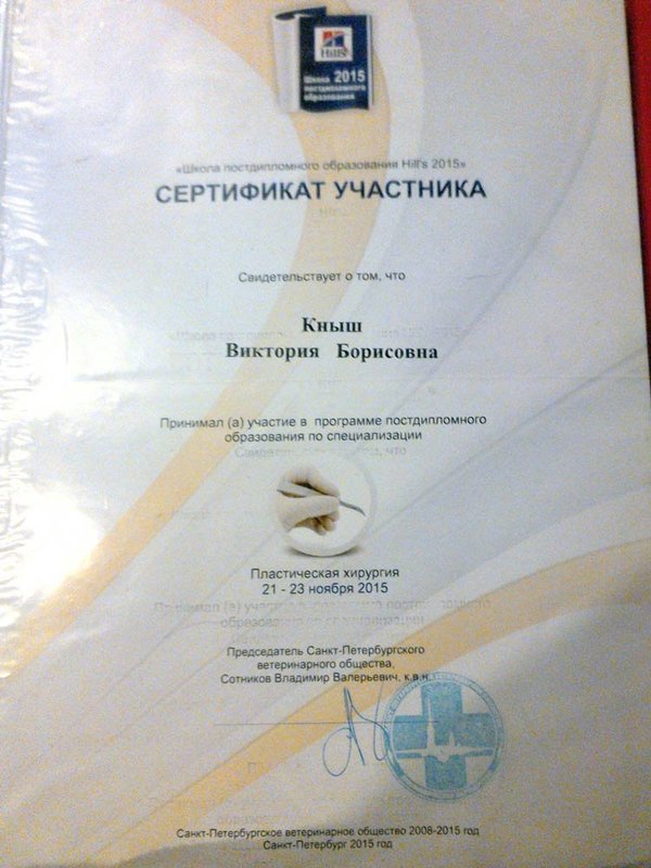 Документ или сертификат