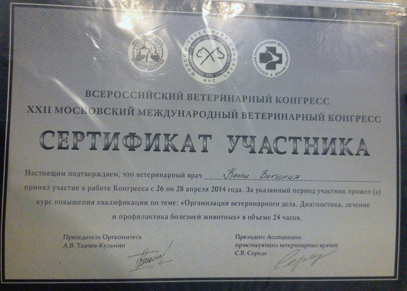 Документ или сертификат
