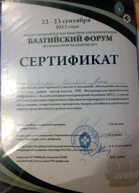 Документ или сертификат