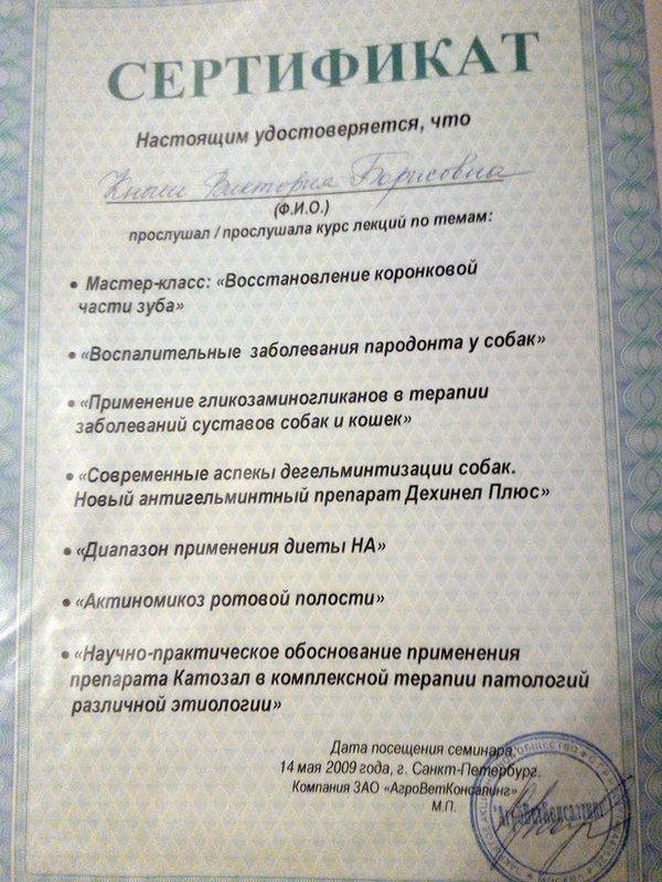 Документ или сертификат