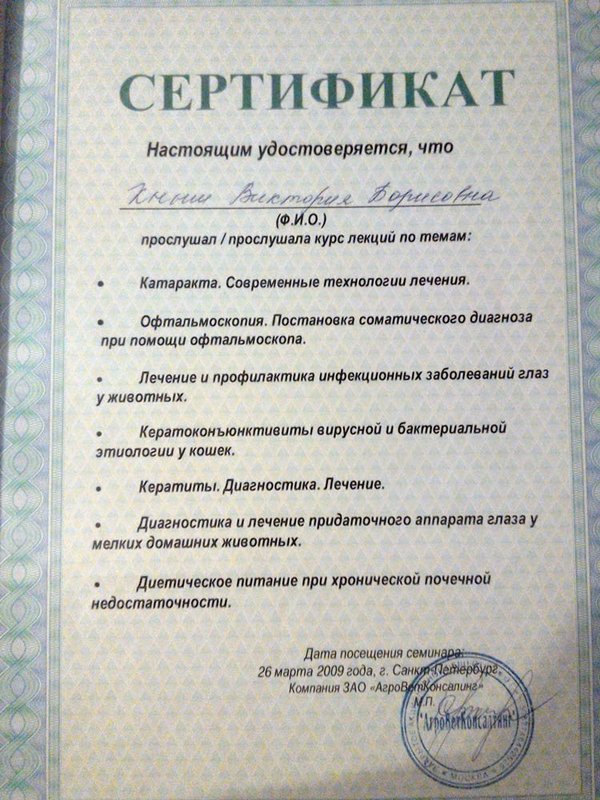 Документ или сертификат