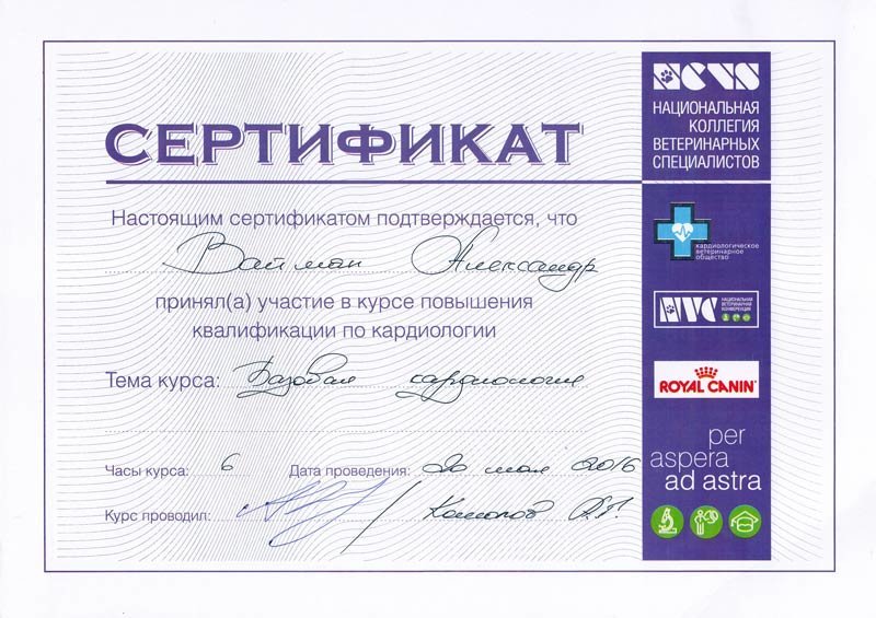 Документ или сертификат