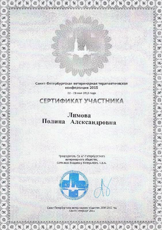 Документ или сертификат