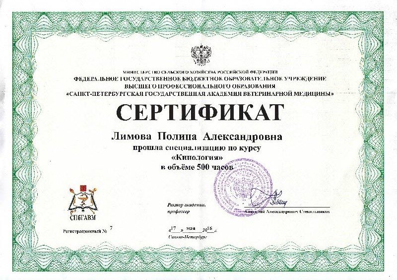 Документ или сертификат