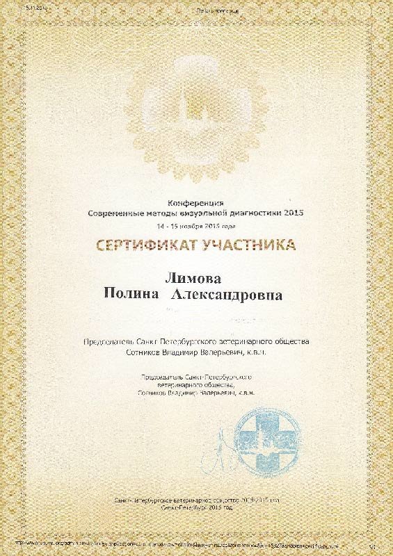 Документ или сертификат