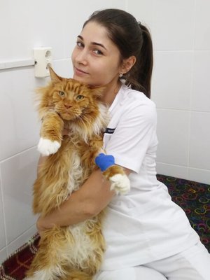 Фото врача Ахметзянова Ольга Олеговна