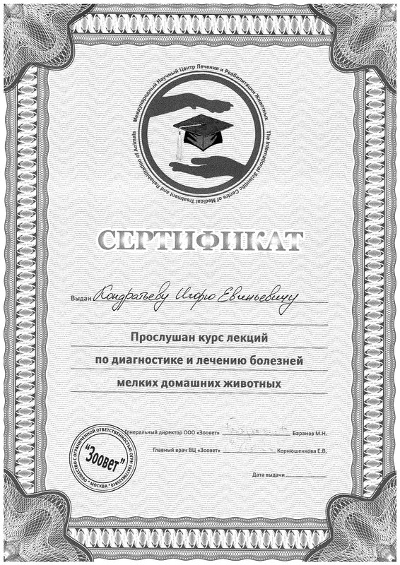 Документ или сертификат