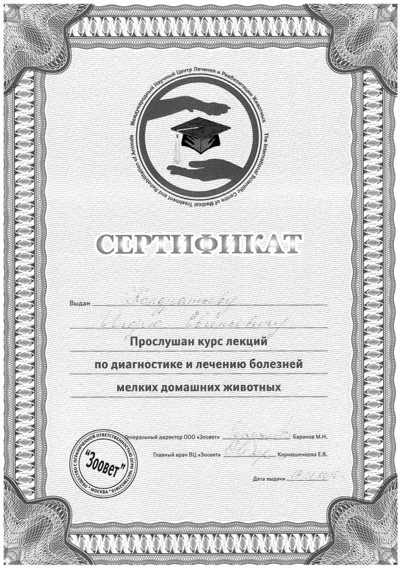 Документ или сертификат