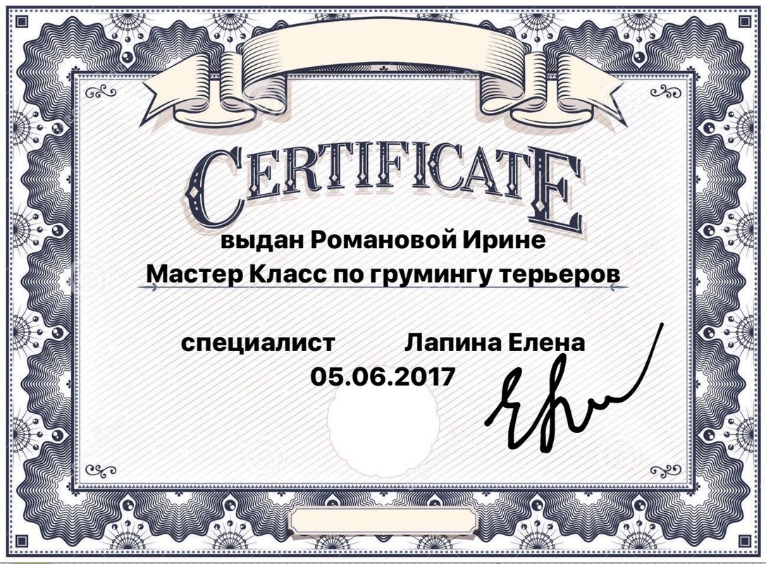 Документ или сертификат