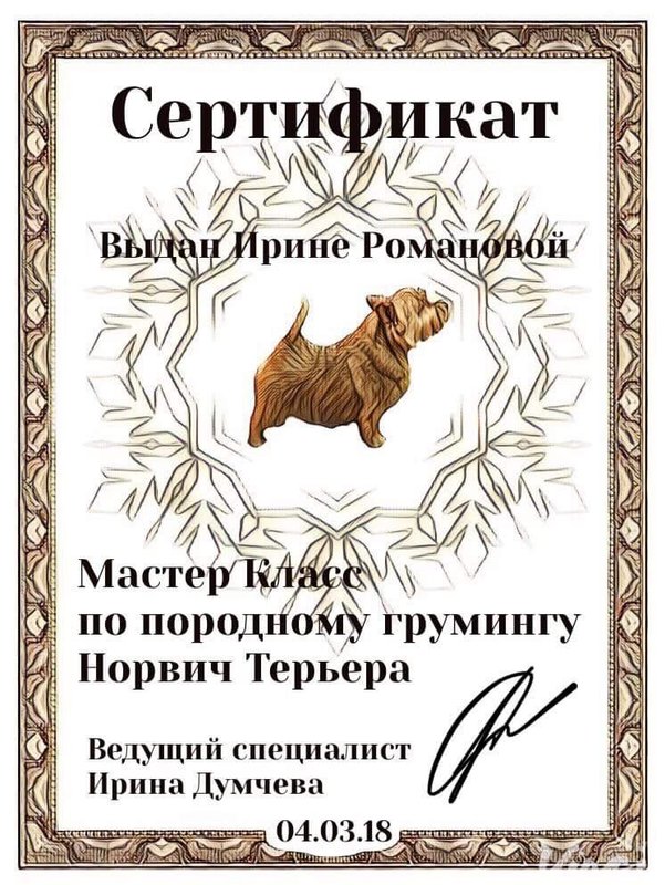Документ или сертификат