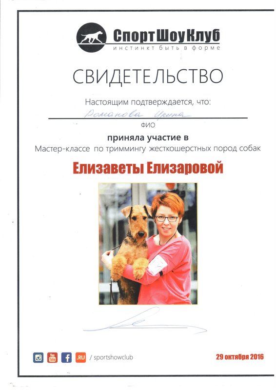 Документ или сертификат