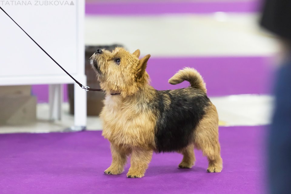 Фото врача