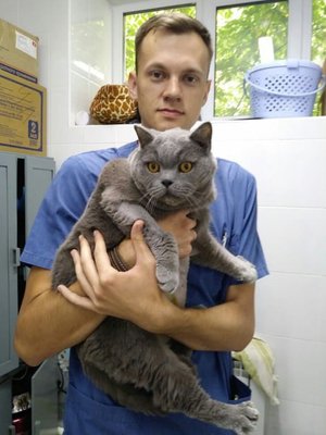 Фото врача Сибряев Андрей Сергеевич